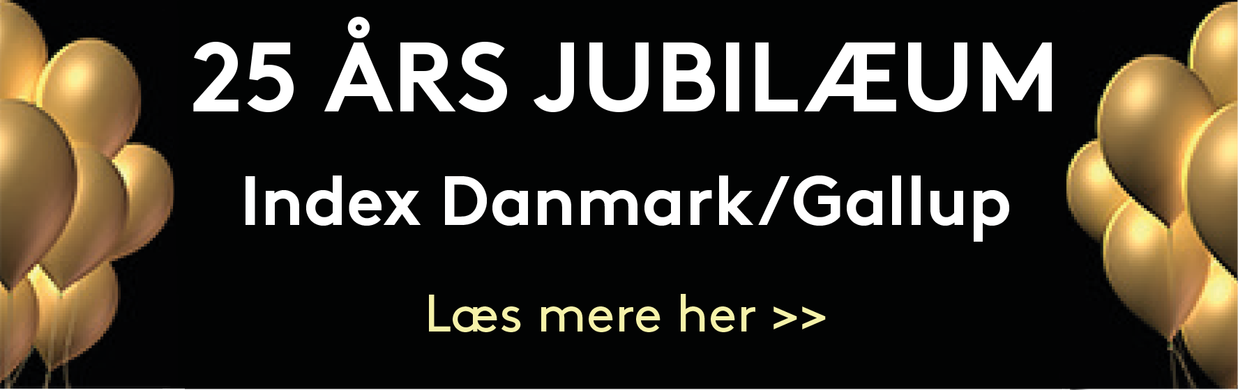 25 års jubilæum Index Danmark